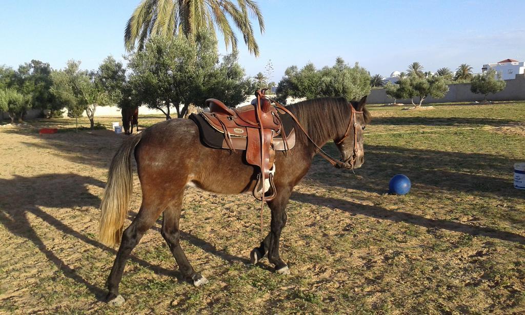 Menzel Churasco Djerba Aghir Exterior photo