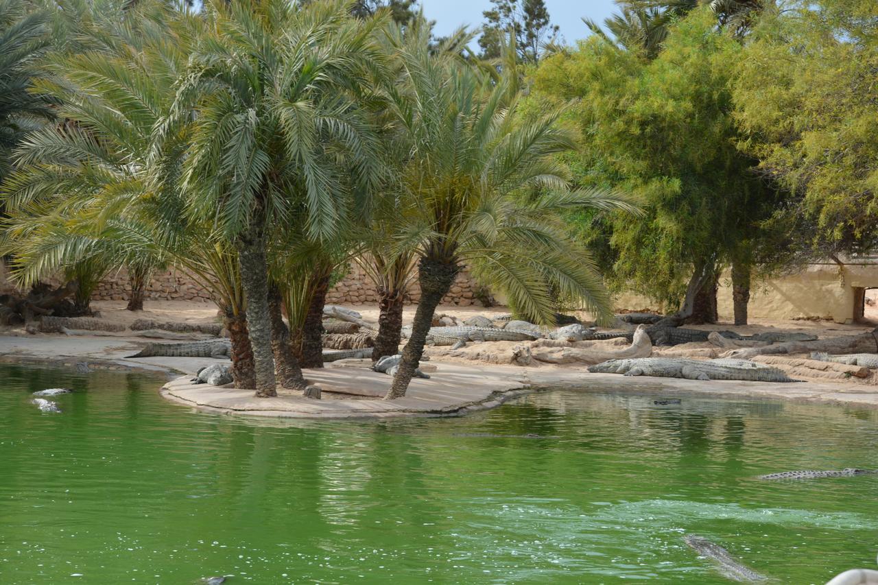 Menzel Churasco Djerba Aghir Exterior photo